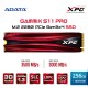 Adata XPG SSD 256GB Gammix S11 Pro PCIe Gen3x4 M.2 2280 Heatsink