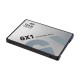 TEAM SSD GX1 2.5 SATA III - 960GB Silver