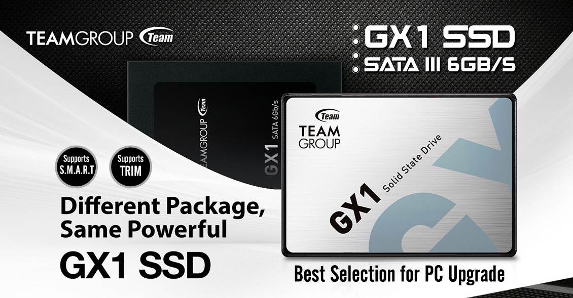 TEAM SSD GX1 2.5 SATA III Silver New Design